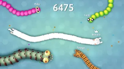 Snake.io - Fun Addicting Online Arcade .io Games screenshot 5